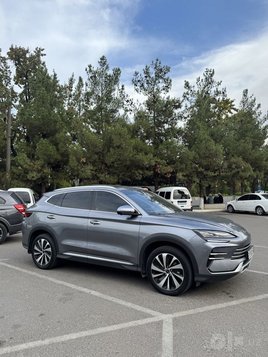 Byd Chempion 2024