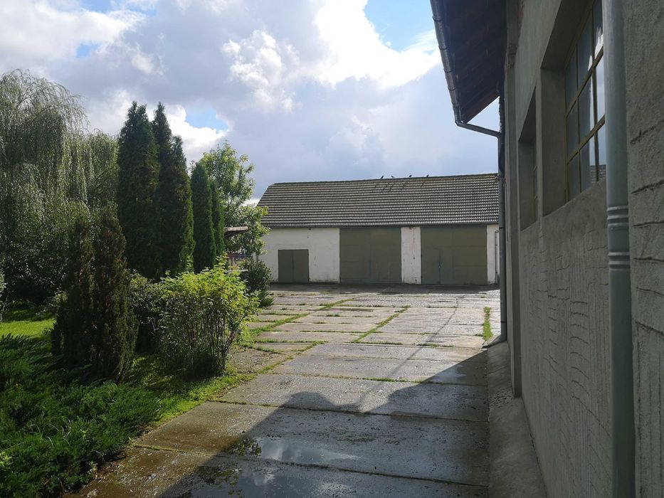 Teren intravilan 1 ha in Reghin, cu clădiri industiale, hală productie