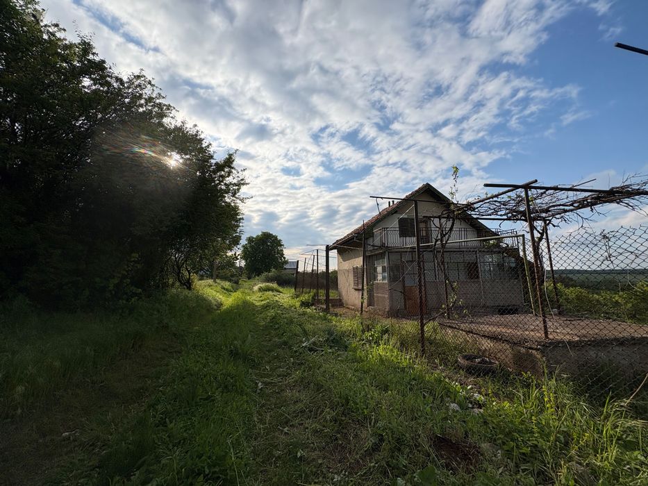 Вила до Враца в местността Под Балкана