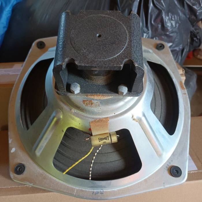 Difuzoare 30 cm Philips și Dinacord