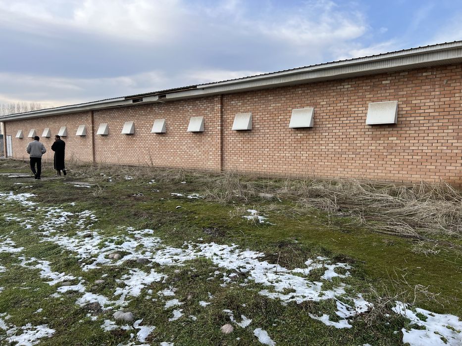 Tovuqxona va xizmat binolari