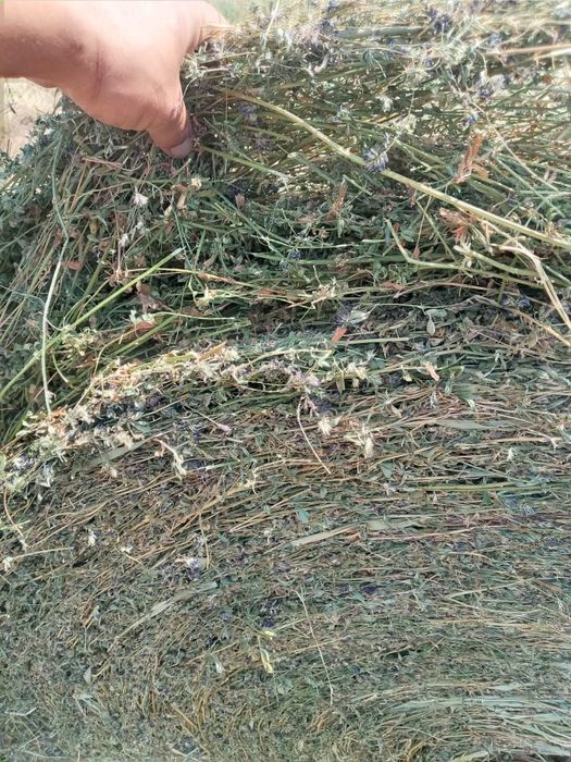 Сено рулон люцерны клевер