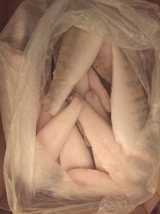 Филе Судака , среднего и мелкого цены . от 1600