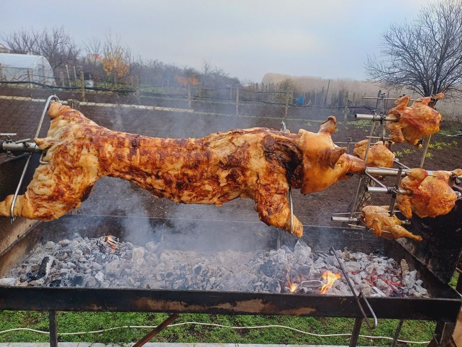 Realizez protap pt diferite evenimente!