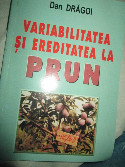 volum Variabilitatea la prun