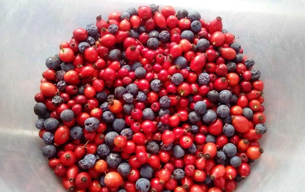 Сурови семена и ядки,Сушени плодове