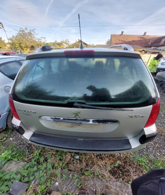 Aripa spate dreapta Peugeot 307 prima generatie (facelift)