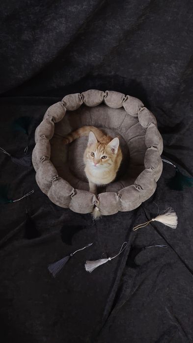 Catbeds and dogbeds