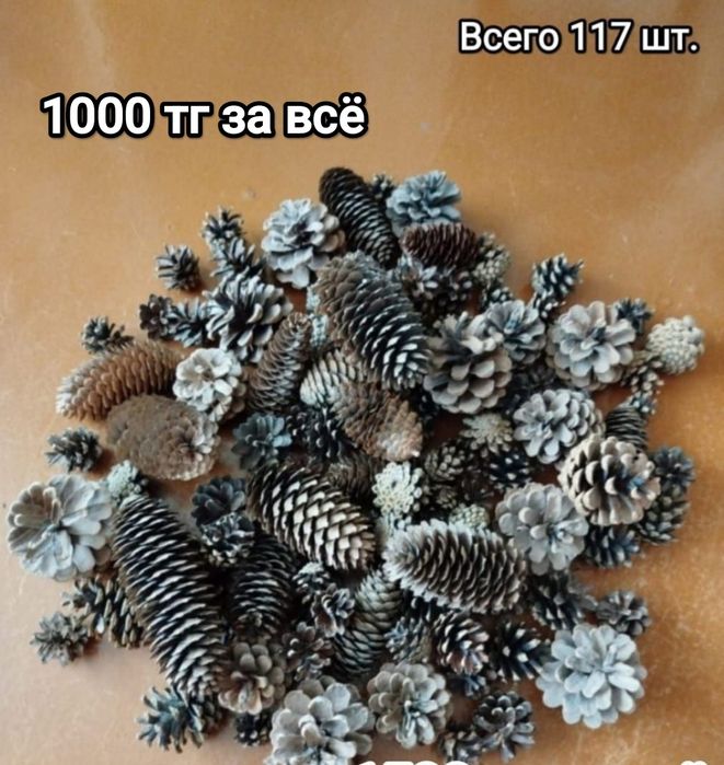 Шишки для подделок