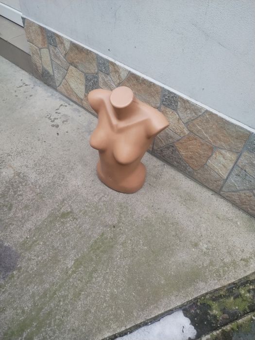 Vând manechine și busturi