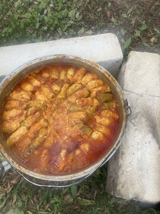 Berbecut la protap