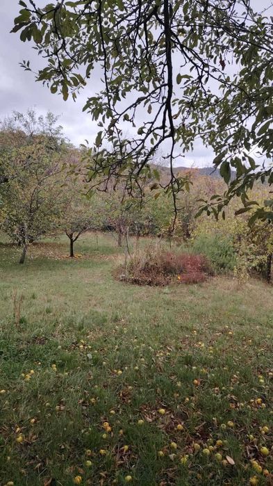 Продава се Къща в с. Гложене, Област Враца - 100 кв.м за 450 €/кв.м - Снимка #20