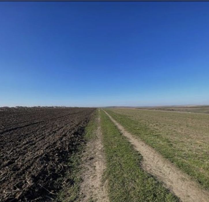 Teren vânzare intravilan REDIU-Horlești la Șoseaua strategică DJ 248 B
