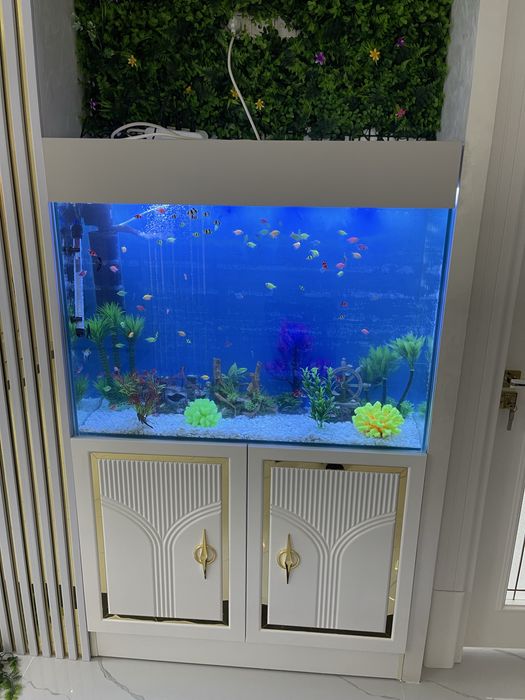 Zakazga Akvarium qilib beramiza