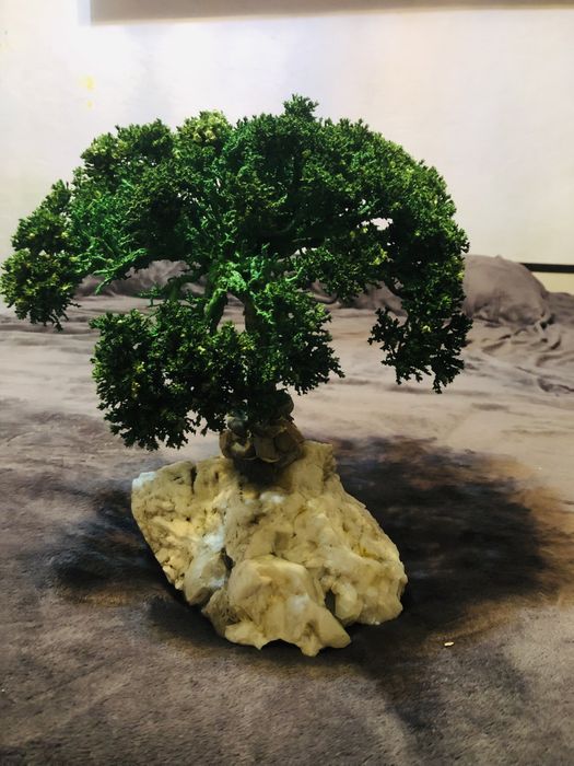 Бансай на агате дизайнерская работа