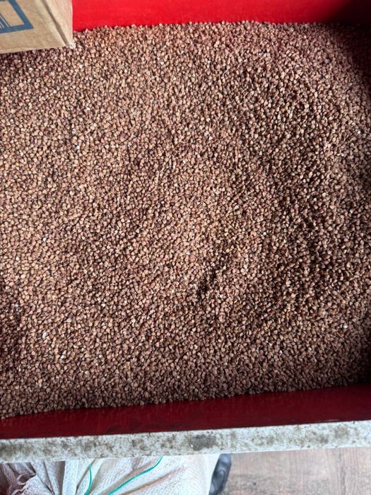 Гречка высшего сорта