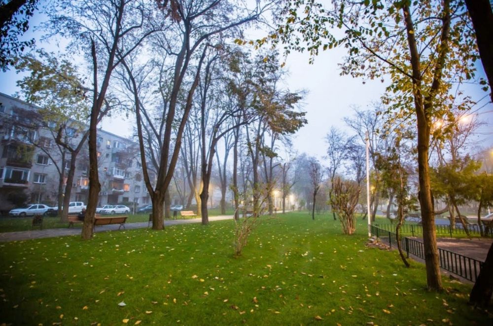 Floreasca Parc Verdi