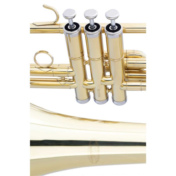 Set Trombon Classic Cantabile VP-16 Bb cu pistoane