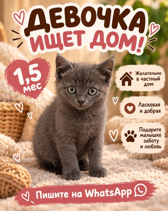 Малышка нуждается в доме! На улице холодно, срочно