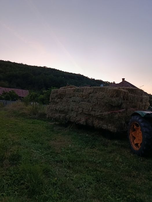 Vând baloți dreptunghiulari preț 17 lei