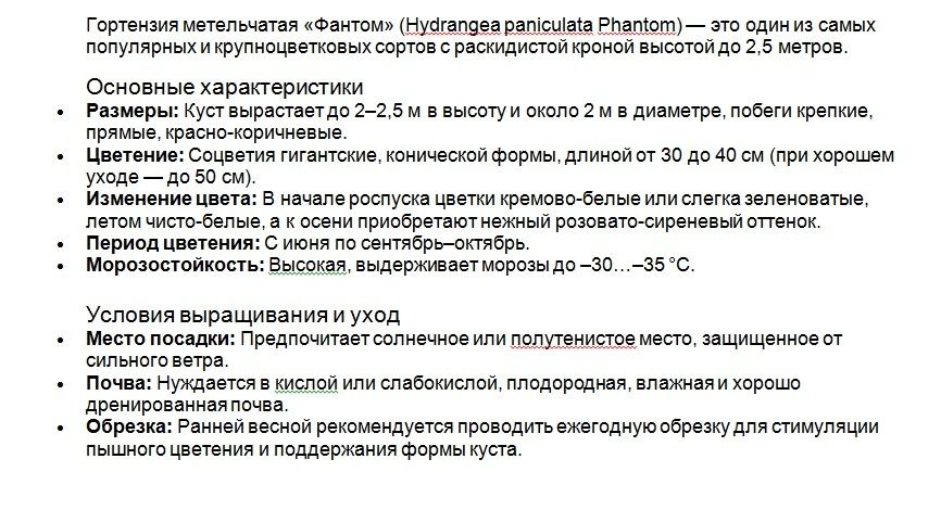 Саженцы гортензий