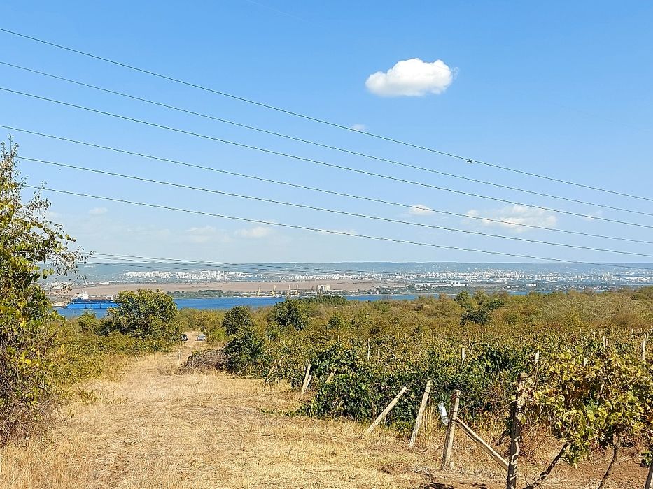 Продава се Парцел в Белослав - 3000 кв.м за 3 €/кв.м - Снимка #4