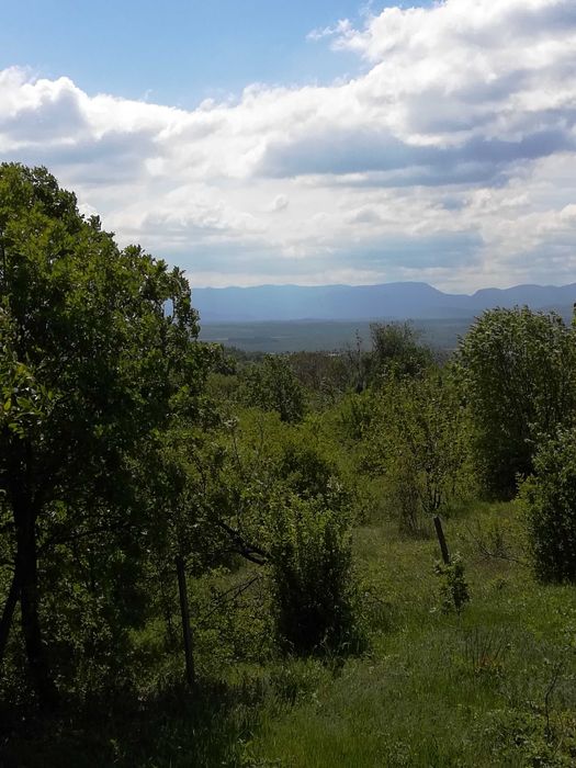 Продава се Парцел в Монтана, м-т Палековото - 1172 кв.м за 4 €/кв.м - Снимка #3