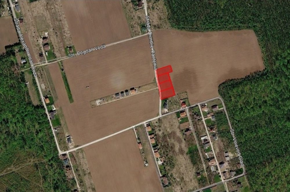 Snagov Ciofliceni Pădure