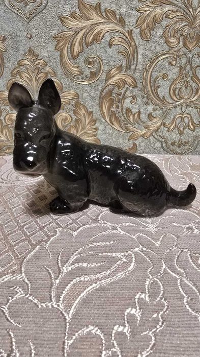 Скотч-терьер ЛФЗ