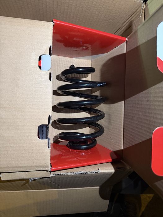 Arc spiral puntea spate (SR039MT MAGNUM TECHNOLOGY) RENAULT