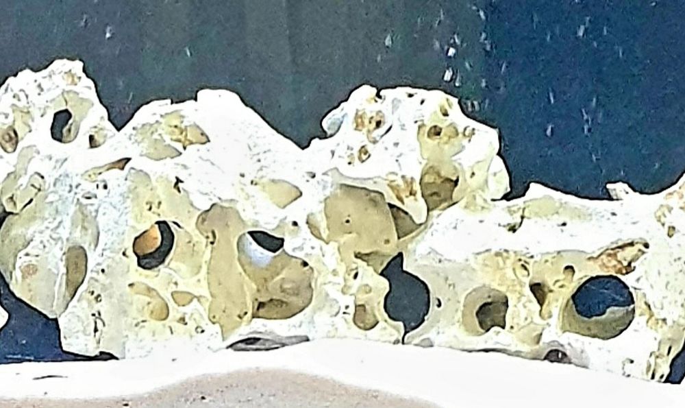 Камни для аквариума 18 клогам.природные.