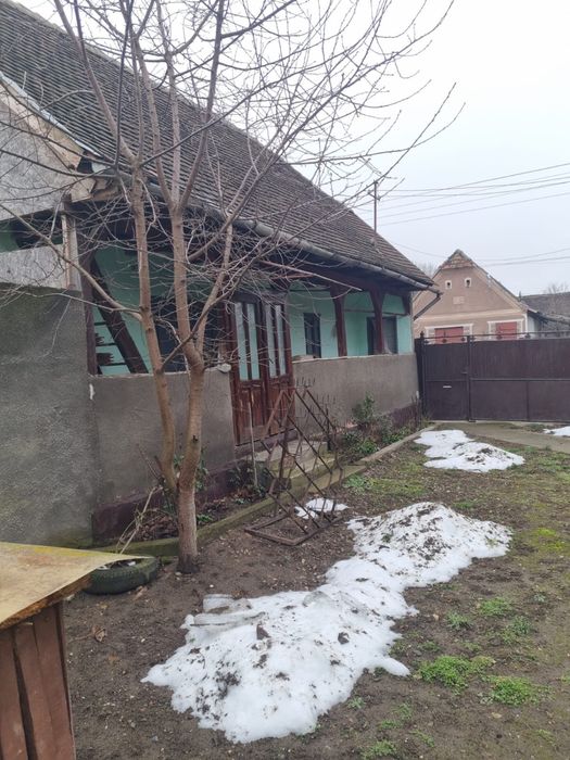 Casa de vanzare cu teren generos in Buteni, jud. Arad, cu fantana