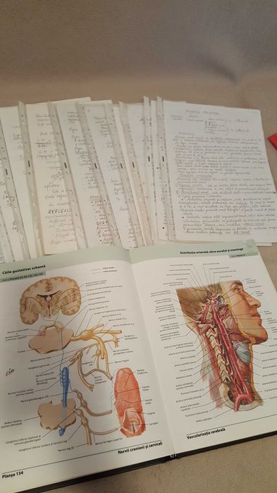 Meditatii Biologie BAC si Admitere la medicina