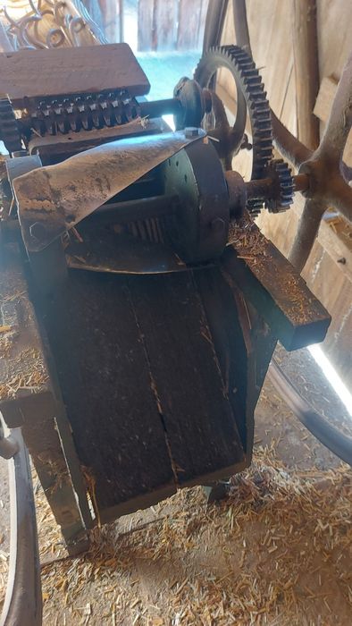 Șișcorniță de vânzare