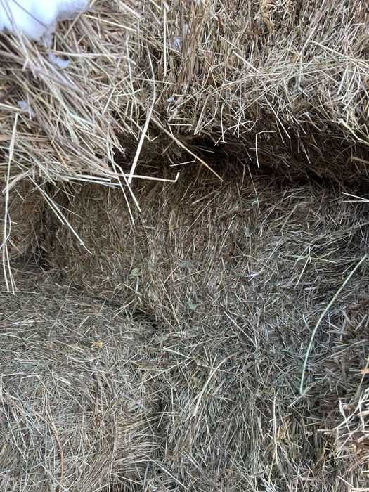 Продается сено в тюках