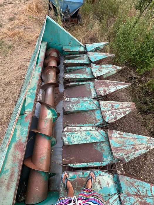 Heder 6 F Rips floare/porumb 6 rânduri Dropia