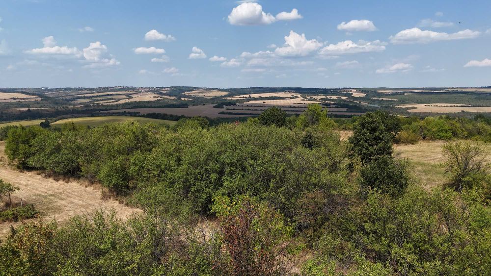 Продава се Парцел в с. Орач, Област Търговище - 2443 кв.м за 5 €/кв.м - Снимка #4