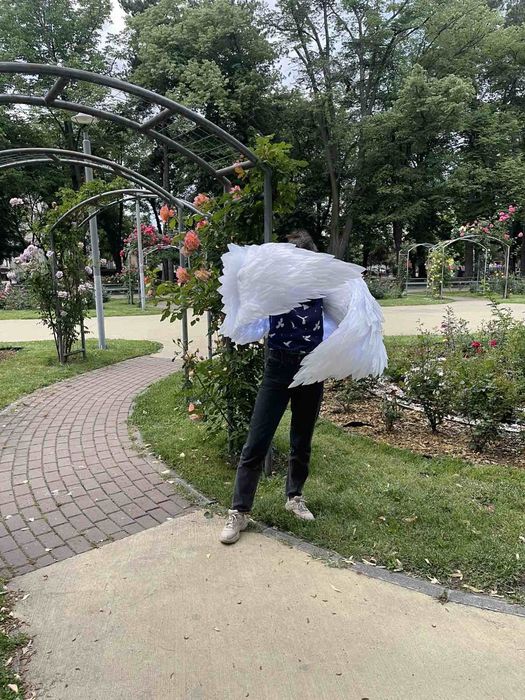 Крила за танци, шоу програми и фотосесии