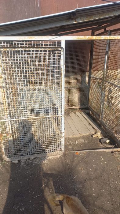 Вольер для собак