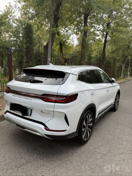 Byd chempion oq 2023