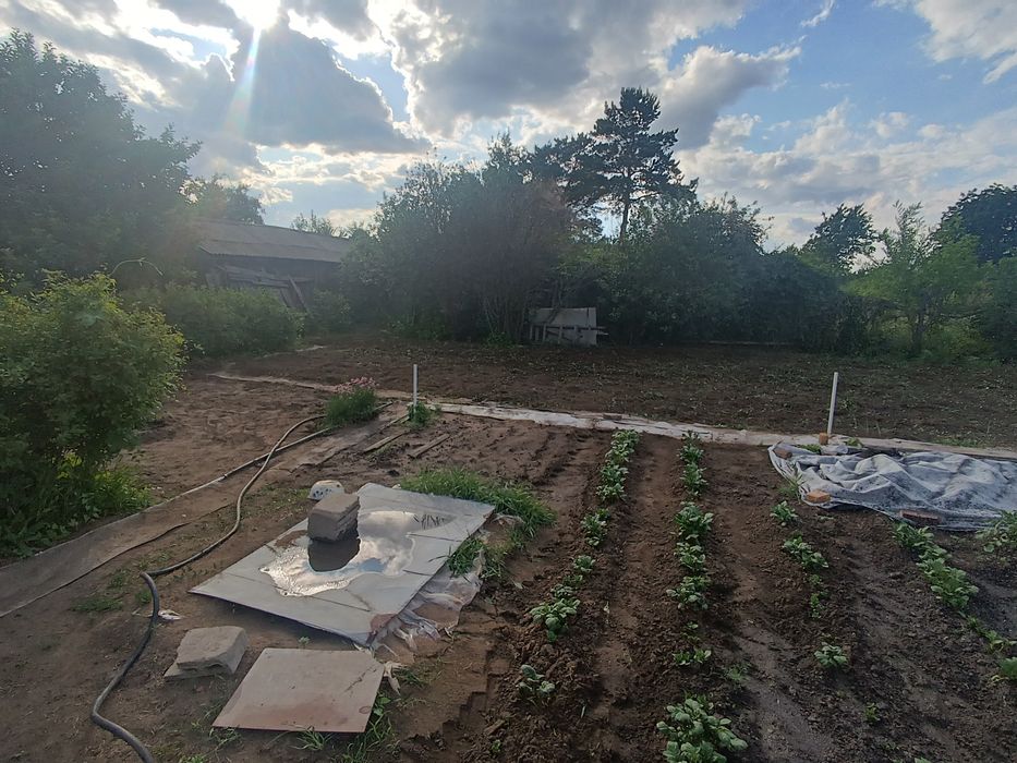 Продам Дачу сад Энтузиаст.