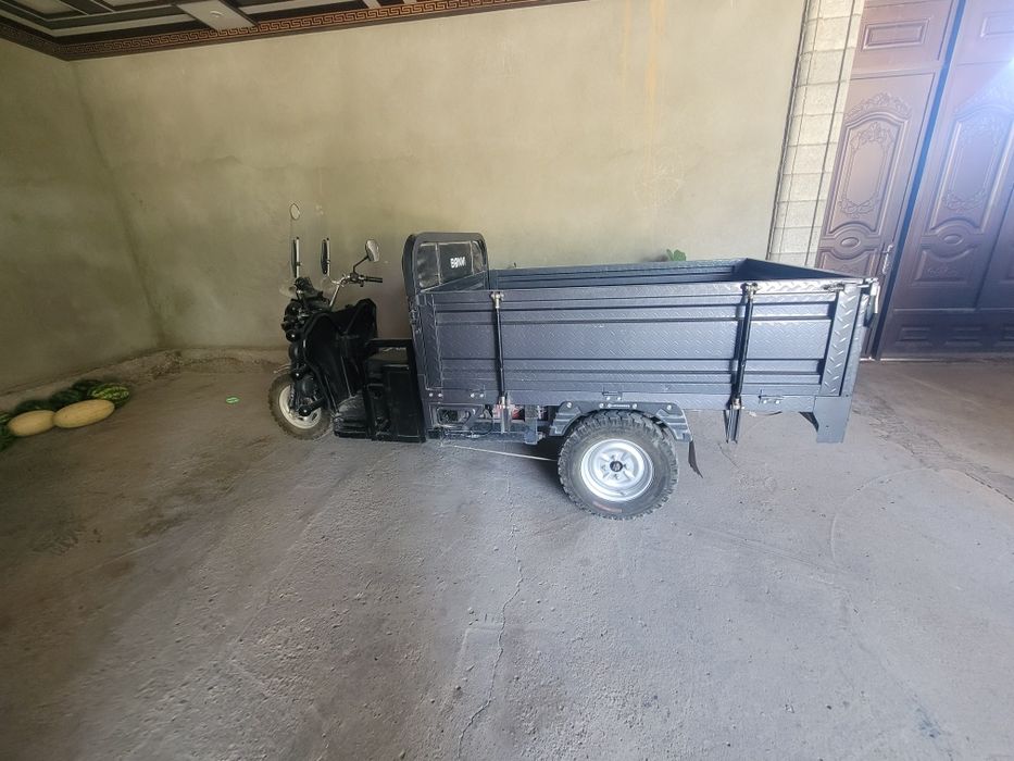 Bonvi muraveyi elektr