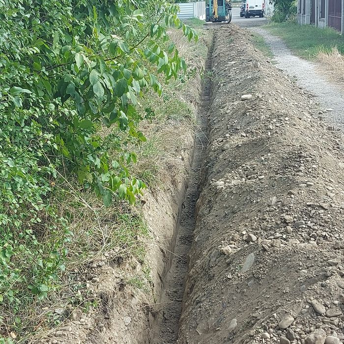 Prestări servicii