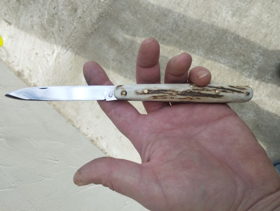 Дегустатурска ножка