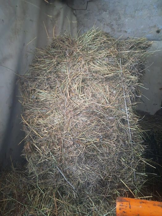 продам сено и обмен кур