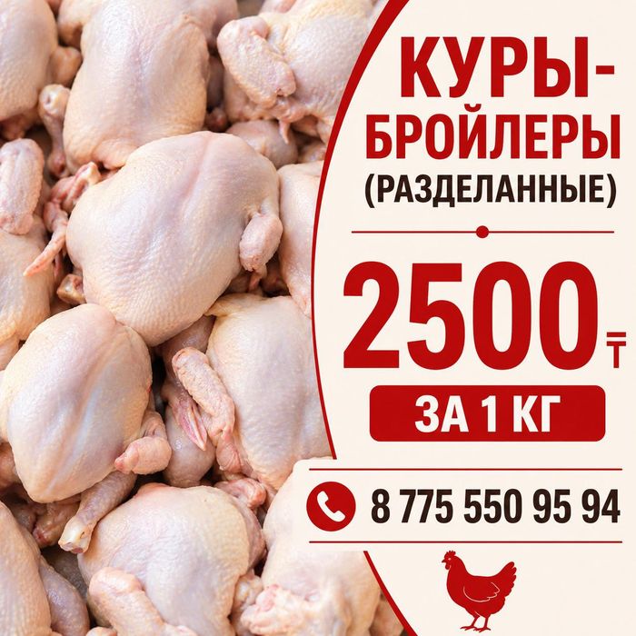 Продам кур бройлеров