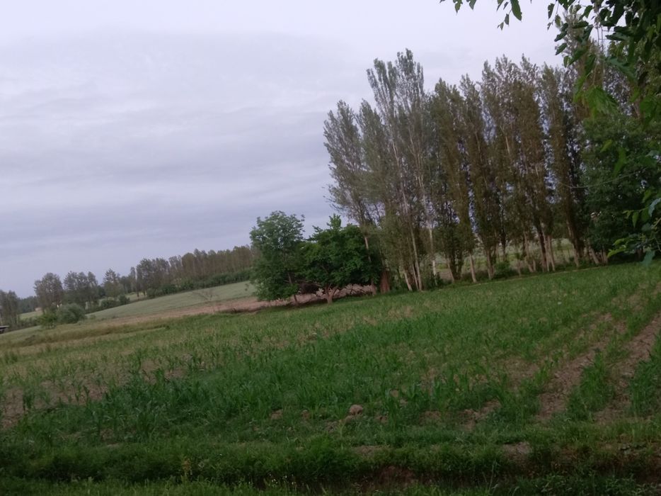 Hovli uy sotiladi