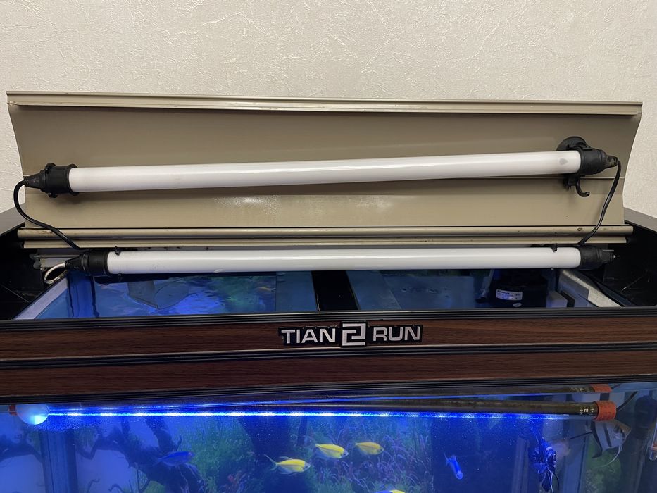 Аквариум вместе с рыбками и тумбочкой