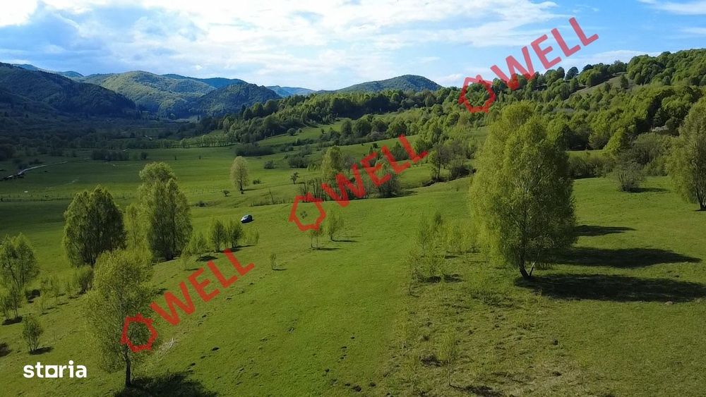 Teren extravilan de vânzare în Vama Buzăului!