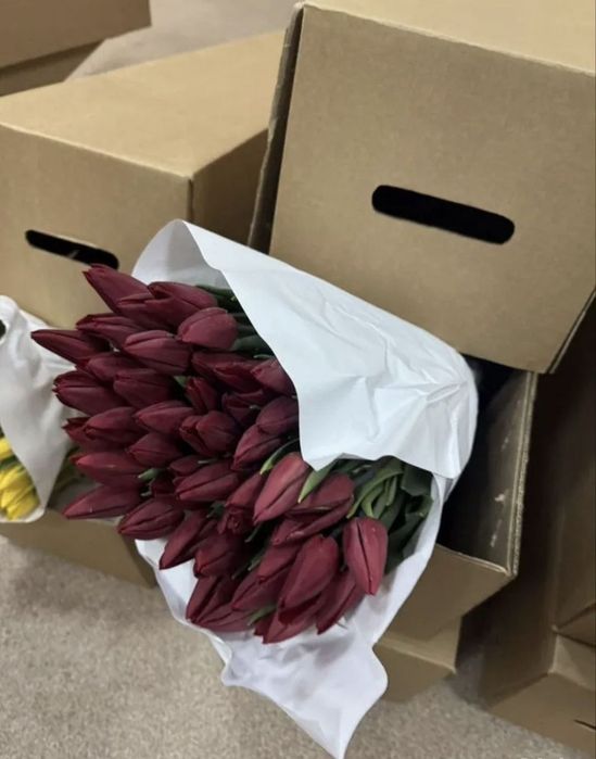 Тюльпаны оптом свежая вырезка